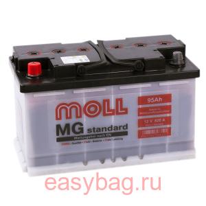  Moll MG Standard 95   13337