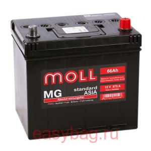  Moll MG Standard Asia 66   13343