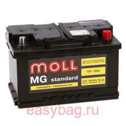  Moll MG Standard 75   13330
