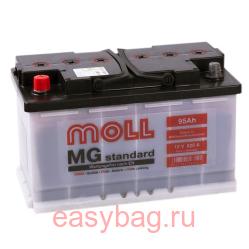  Moll MG Standard 95   13337