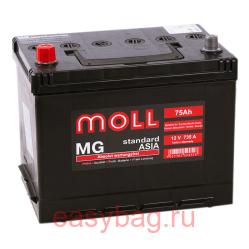  Moll MG Standard Asia 75    13344