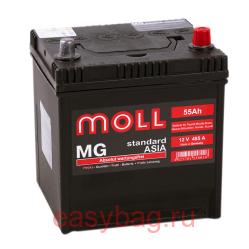  Moll MG Standard Asia 55   13342