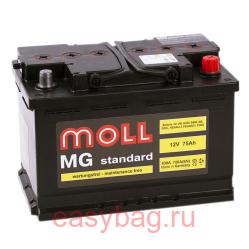  Moll MG Standard 75   13329