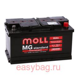  Moll MG Standard 80   13333