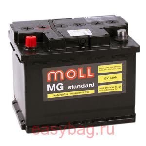  Moll MG Standard 62   13324