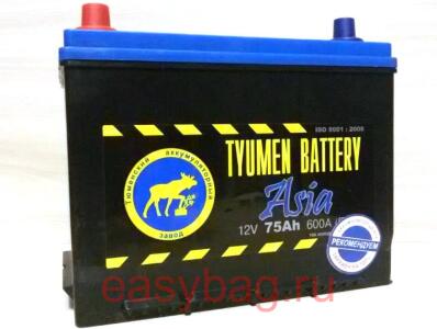  ()  ASIA 12V-75Ah L+ 266/172/220