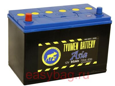  ()  ASIA 12V-95Ah L+ 302/172/223