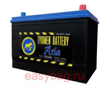  ()  ASIA 12V-95Ah R+ 302/172/223