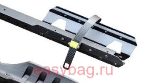   Buzz Scorpion   Fat bike