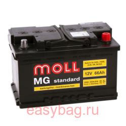  Moll MG Standard 66   13327