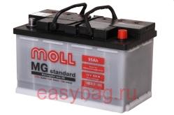  Moll MG Standard 95   13338