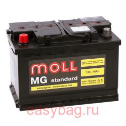  Moll MG Standard 75   13328