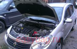    Renault Sandero, 2009-2014 (1 )