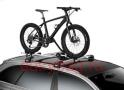  Thule ProRide 598 Fatbike-5981